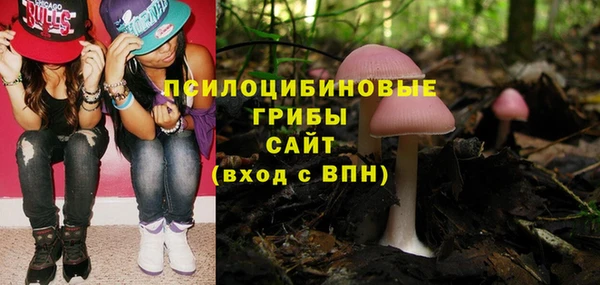 амф Абдулино