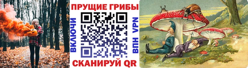 Псилоцибиновые грибы GOLDEN TEACHER  Новая Усмань 